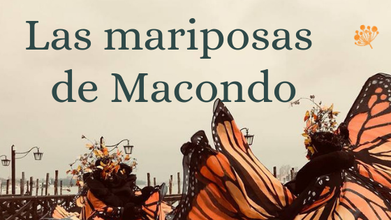 Las Mariposas de Macondo