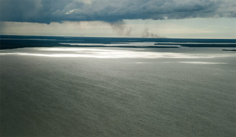 Blog Stella Acosta Escritora