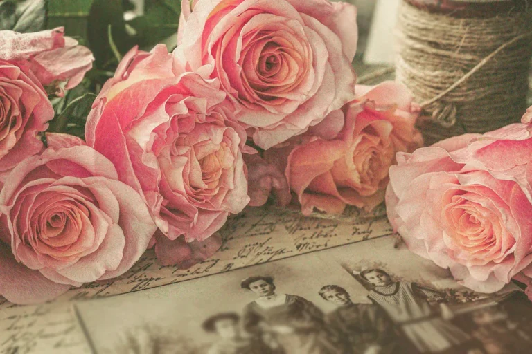 Dar-y-Tomar-Constelaciones-Familiares-Stella-Acosta-Blog